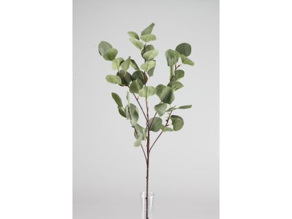15793 15793 1 15793 781172 eucalyptus zeleny 90cm