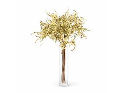 ChatGPT Image 23. 2. 2026, 21 01 33