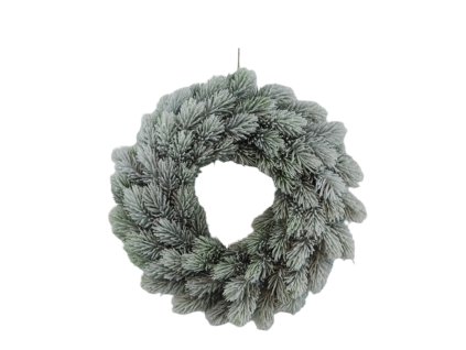 16480 16480 pixelcut export 1557