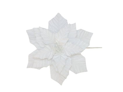 17215 17296 pixelcut export 1248