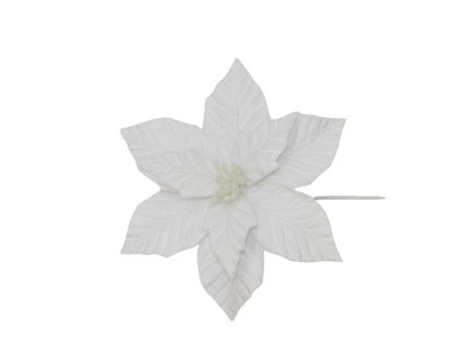 17218 17299 pixelcut export 1247