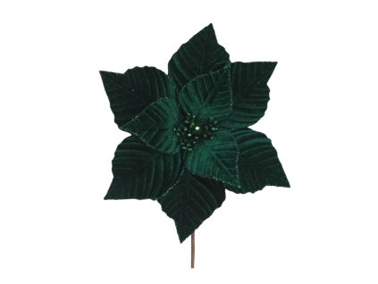 17227 pixelcut export 2025 11 09t144855 591