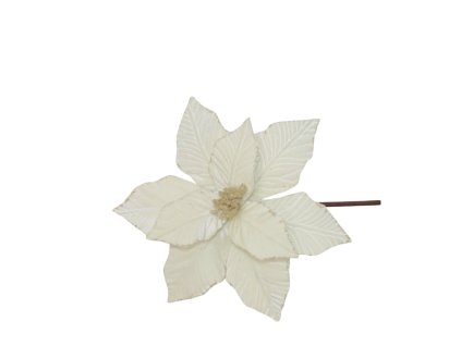 17242 17320 pixelcut export 1253