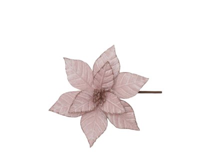 17245 17323 2 pixelcut export 1268