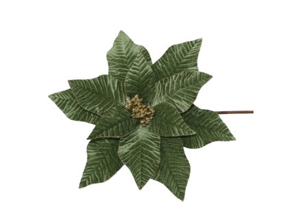 17248 17326 pixelcut export 1280