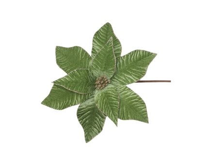 17251 17329 pixelcut export 1281