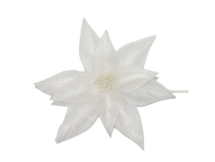 17257 17335 pixelcut export 1249