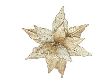 17281 17359 pixelcut export 1283