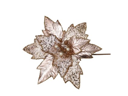 17284 17362 pixelcut export 1277