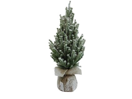 17572 17788 pixelcut export 1006