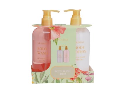 18663 18286 pixelcut export 2025 06 12t165850 408