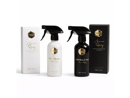 ChatGPT Image 13. 2. 2026, 15 15 39