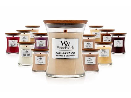 ChatGPT Image 24. 2. 2026, 09 29 15