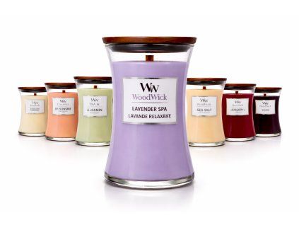 ChatGPT Image 24. 2. 2026, 13 39 31