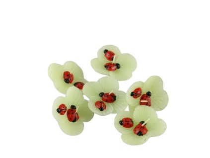 2443 2443 1 pixelcut export 2025 06 22t212947 327