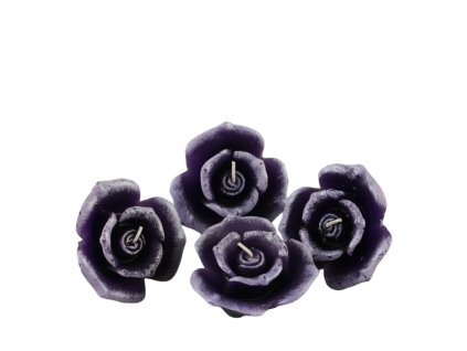 2449 2449 1 pixelcut export 2025 06 22t183138 164