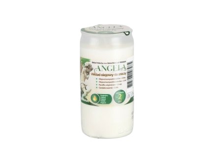 2509 2509 1 pixelcut export 2025 06 24t105416 812