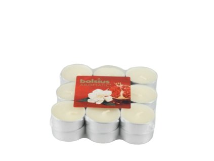 2512 2512 2 pixelcut export 883