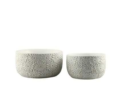 3445 3445 2 pixelcut export 2025 08 04t160702 348