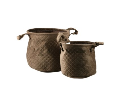 4609 4609 1 pixelcut export 310