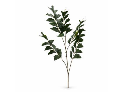 ChatGPT Image 16. 2. 2026, 19 55 22