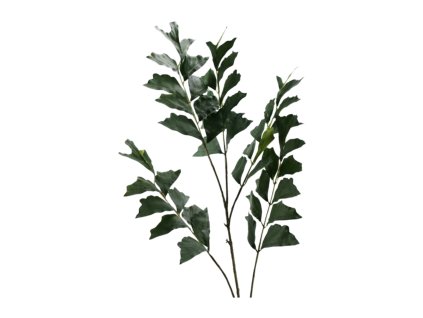 6073 6073 1 pixelcut export 2025 07 29t153354 898