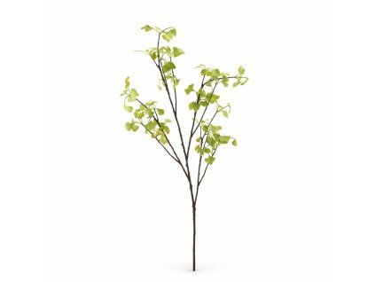 ChatGPT Image 16. 2. 2026, 20 04 39