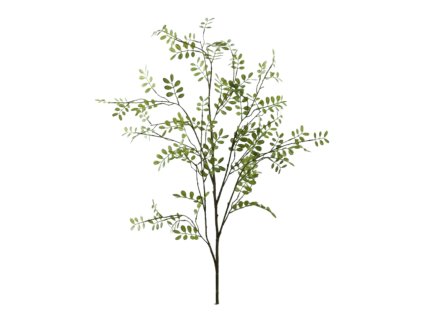 6082 6082 1 pixelcut export 2025 07 29t154558 135