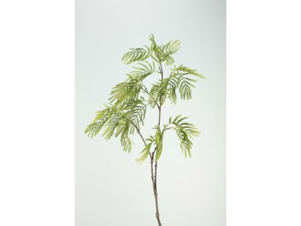 6109 6109 6109 54974 mimosa 90cm