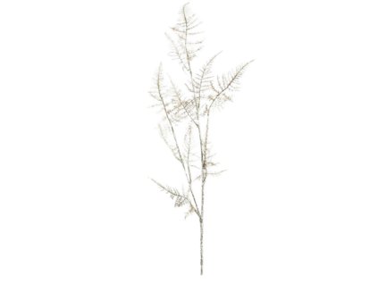 6115 1 6115 pixelcut export 27