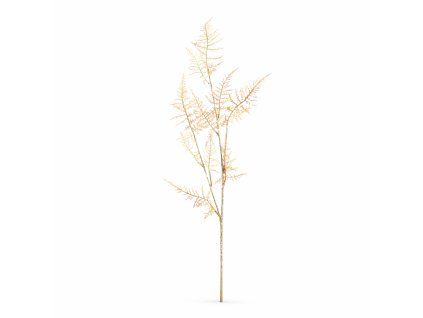 ChatGPT Image 19. 2. 2026, 09 47 10