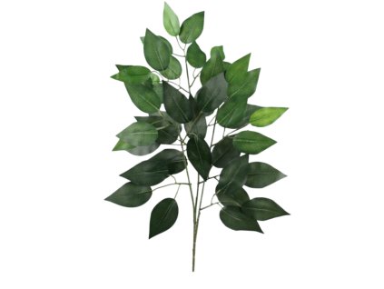 6124 1 6124 pixelcut export 10