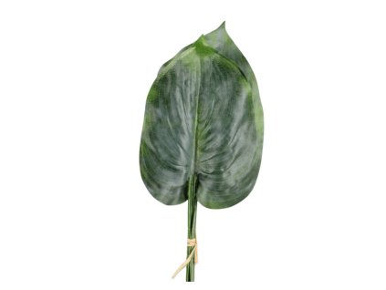 6130 1 6130 pixelcut export 31