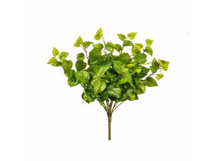 ChatGPT Image 25. 2. 2026, 20 08 40