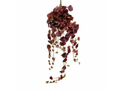 ChatGPT Image 17. 2. 2026, 19 41 39