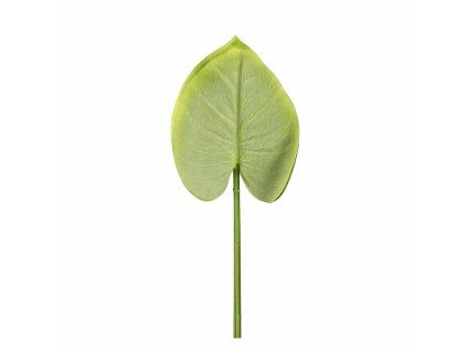 ChatGPT Image 26. 2. 2026, 13 29 46