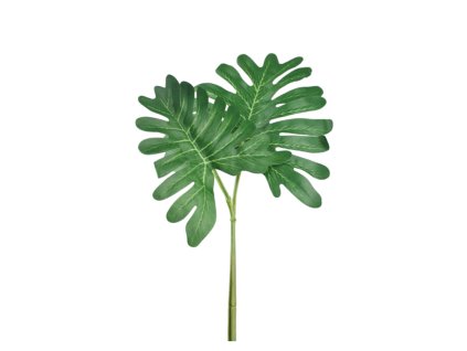 6181 1 6181 pixelcut export 36