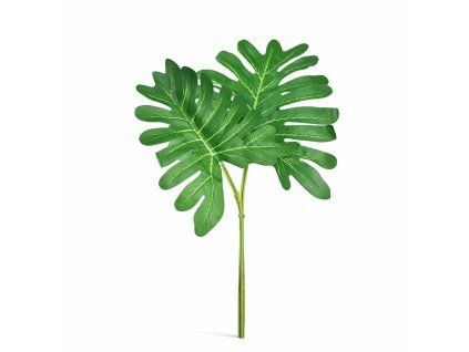 ChatGPT Image 23. 2. 2026, 15 39 49