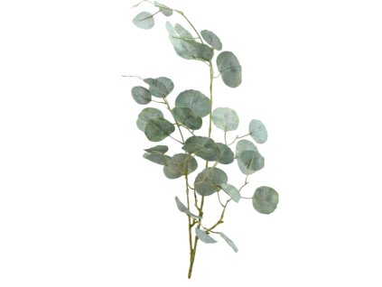 6196 1 6196 pixelcut export 22