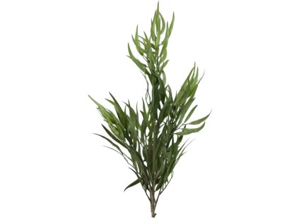 6205 1 6205 pixelcut export 23