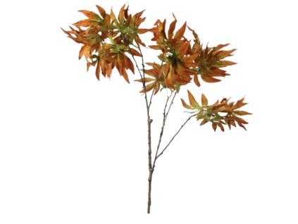 6247 1 6247 1 pixelcut export 14