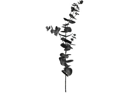 6268 1 6268 pixelcut export 30