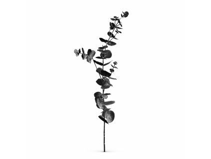 ChatGPT Image 19. 2. 2026, 09 50 35