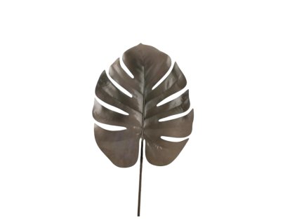 6289 1 6289 pixelcut export 41