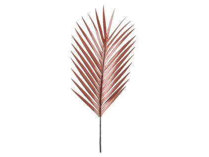 6295 1 6295 pixelcut export 42