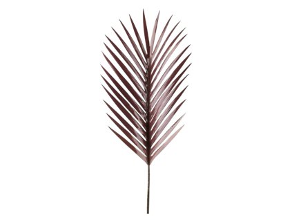 6301 1 6301 pixelcut export 43