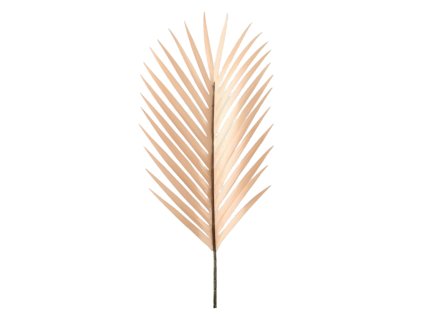 6310 1 6310 pixelcut export 44