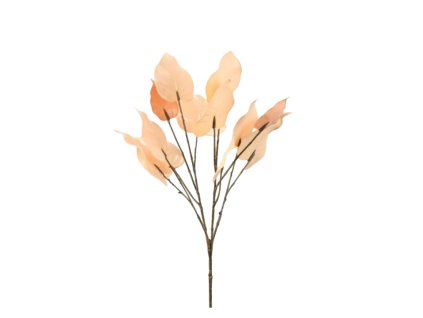 6316 1 6316 pixelcut export 45