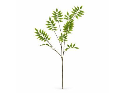 ChatGPT Image 16. 2. 2026, 20 10 02