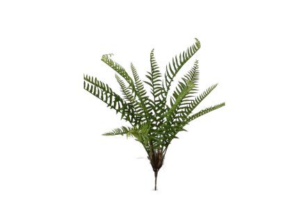 6358 6358 1 pixelcut export 2025 06 13t144726 109